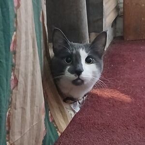 Meet your Posher, Abby